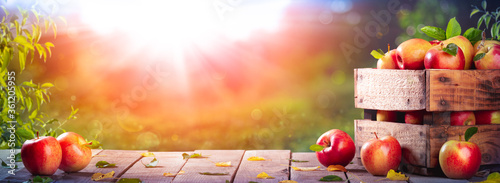 Apples In Wooden Crate On Table At Sunset - Autumn And Harvest Concept