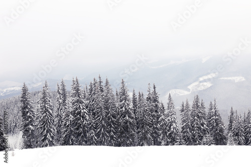 Beautiful view of snowy mountains in winter season