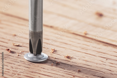 screwdriver screw in a wood oaks plank