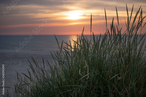 zachód słońca, plaża, wydma