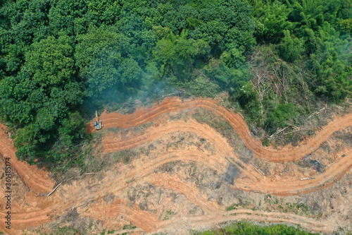 Deforest environmental problem. Logging of rain forest to clear land for palm oil plantations in Southeast Asia 