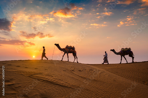 Indian cameleers (camel driver) bedouin with camel silhouettes in sand dunes of Thar desert on sunset. Caravan in Rajasthan travel tourism background safari adventure. Jaisalmer, Rajasthan, India