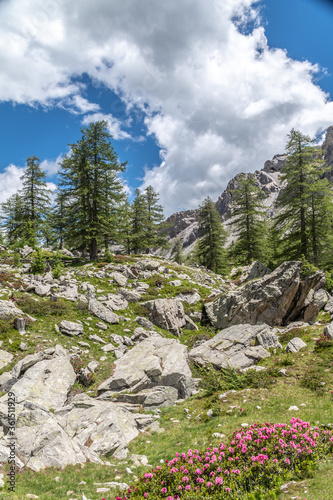 Paysage alpin dans le parc du Mercantour - Alpine landscape in the Mercantour park in the South of France