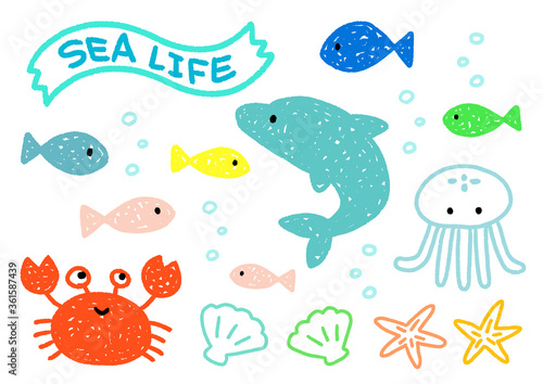 海の生き物セット 海 生き物