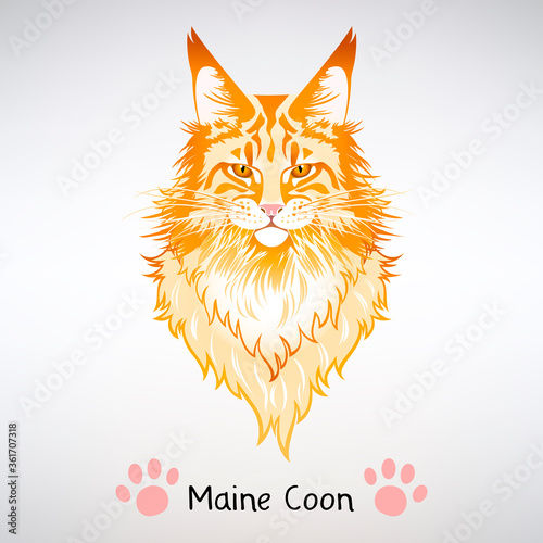 Portrait of Red Cat Maine Coon
