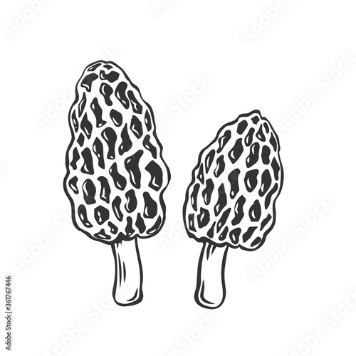 Edible mushrooms morel outline icon.