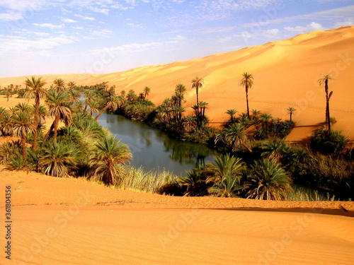 LIBYA. SAHARA DESERT OASIS NEAR SEBHA. 