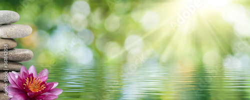 image of a lotus flower and stones on the water