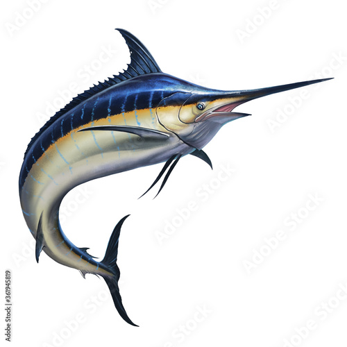 Big black marlin jumps out of the sea. Black Swordfish extreme fishing on the high seas. Holidays in the tropics and hobbies.