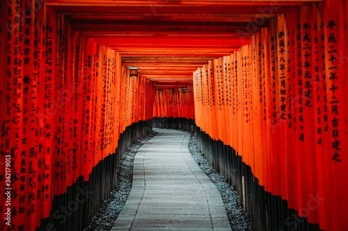 Japanese temple torii gates in Kyoto, Japan. (Fushimi Inari).