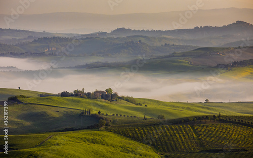 Hilly countryside Tuscany