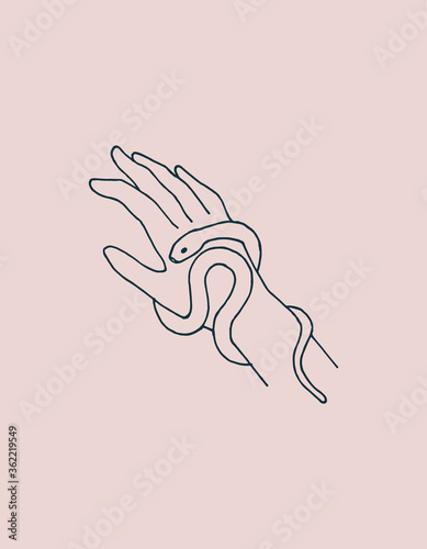  line vector illustration. Female hand with a snake isolated on a pink background. a symbol of magic, esotericism, mysticism, witchcraft. logo of cosmetics, medicines with snake venom