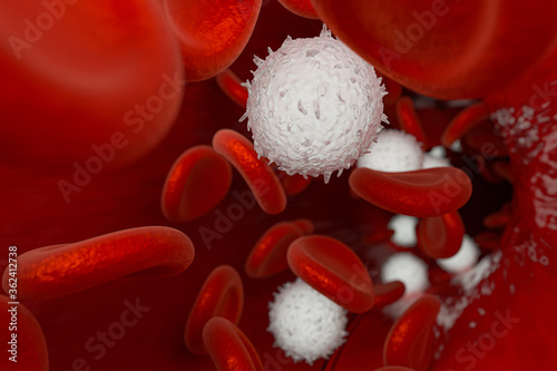 Red and white blood cells in the blood vessel, 3d rendering.