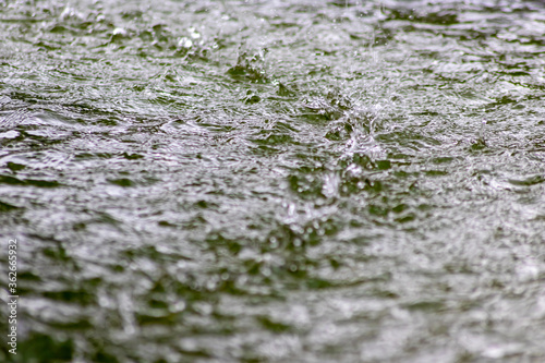 Raindrops falling to the floor in heavy rain day into a puddle on an splashy country road in spring offer a refreshing water shower for plants and trees after an absolute drought and meagerness