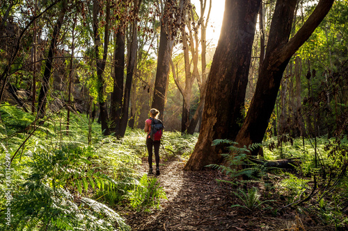 Hiker walking in the Australian bushland