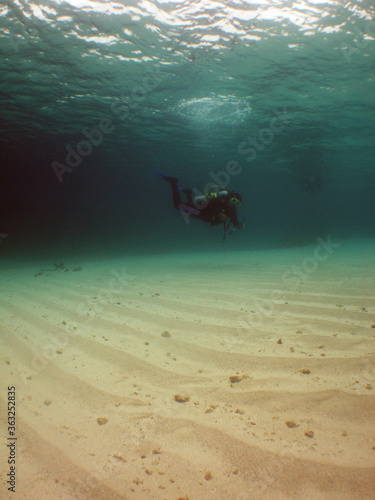  scuba diver underwater sand ocean caribbean sea Venezuela 