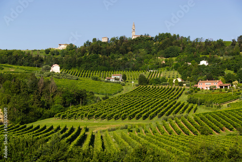 View of the hills of Prosecco vineyards in the Conegliano countryside