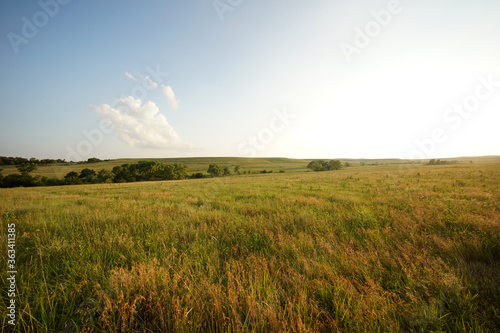 Kansas field of grass and sky