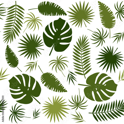 pattern of tropical leaves on a white background, color vector illustration, design, decoration, background