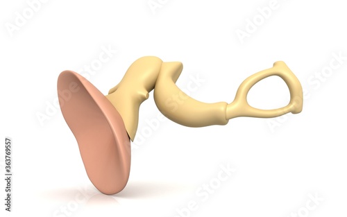 3d illustration of inner ear. malleus, incus, stapes on a white background