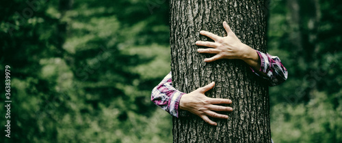 woman hand embracing a tree in green forest - nature loving, fight global warming, save planet earth