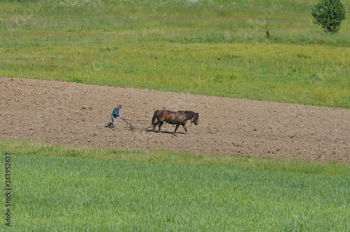 Polska - Mazury - Warmia. Prace na polu.