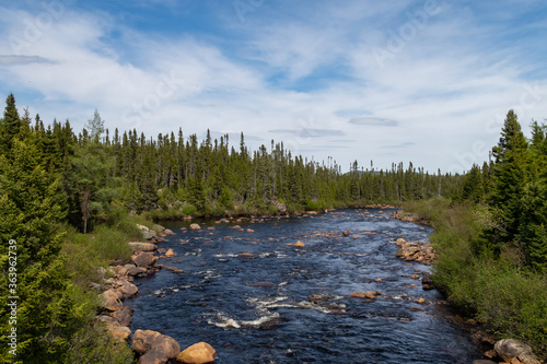 Beautiful landscape with a river and boreal forest, in Charlevoix
