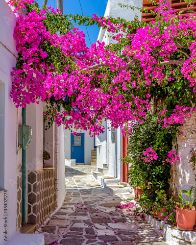 Picturesque alley in Prodromos Paros greek island with a full blooming bougainvillea !! Whitewashed traditional houses with blue door and flowers all over !!!