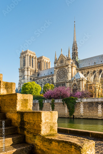 Vue sur Notre-Dame de Paris depuis la Seine