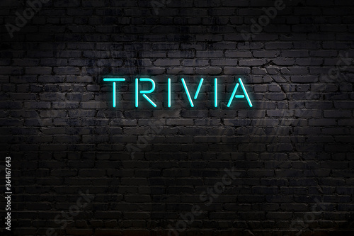 Neon sign. Word trivia against brick wall. Night view