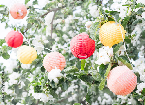 Colorful paper lanterns on a flowering tree. Holiday. Selective focus