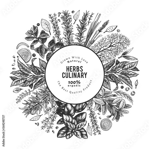 Culinary herbs banner template. Hand drawn vintage botanical illustration. Engraved style. Retro food background.