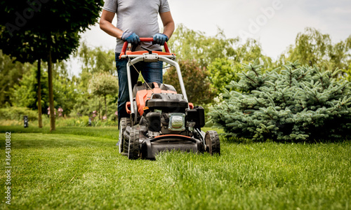 Gardener mowing the lawn. Landscape design. Green grass background