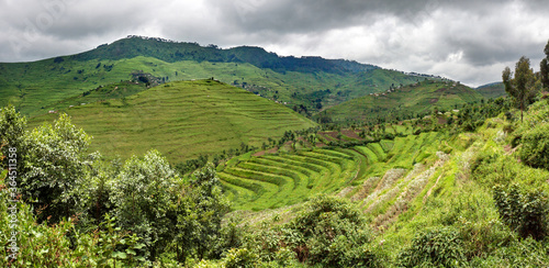 Newly constructed terraces in Rwanda (Gishwati forest area), to combat erosion. In the background villages perched against the hills