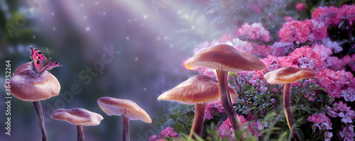 Magical fantasy mushrooms in enchanted fairy tale dreamy elf forest with fabulous fairytale blooming pink rose flower and butterfly on mysterious background, shiny glowing stars and moon rays in night