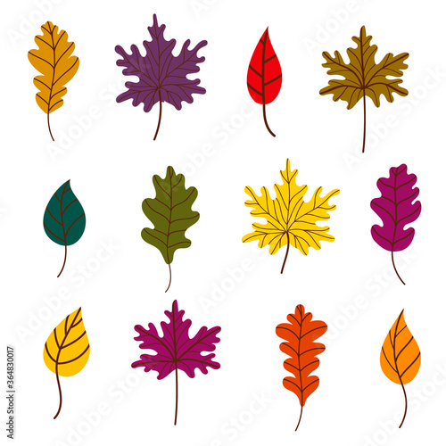 a set of bright autumn leaves. Leaf litter. Maple, oak, and birch leaves isolated on a white background. Vector illustration in flat style. Autumn design elements and design for Halloween
