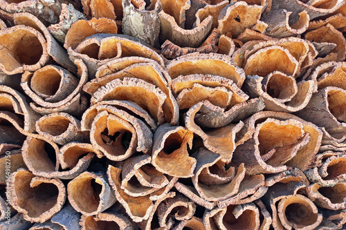 Harvested cork in the countryside from Portugal