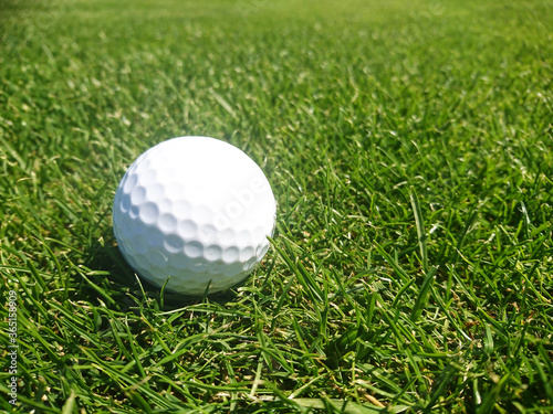 golf ball on a grassy golf course on a beautiful summer day