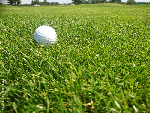 golf ball on a grassy golf course on a beautiful summer day