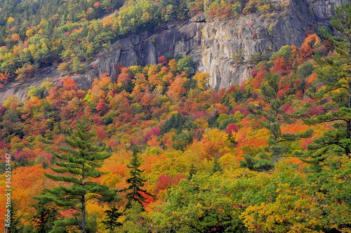 Autumn in White Mountains of New Hampshire. Breathtaking view of colorful trees clinging to steep cliff along scenic Kancamagus Highway.