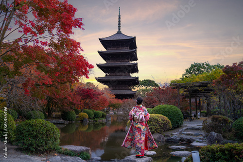 Young Japanese girl traveller in traditional kimino dress standing in Toji temple with wooden pagoda and red maple leaf in autumn season in Kyoto, Japan. Japan tourism visit tourist attractions
