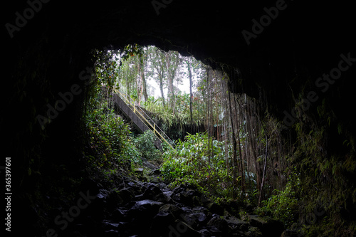 Entrance of Kaumana Caves, a massive 1881 lava tube cave formed by Mauna Loa on the Island of Hawai'i.