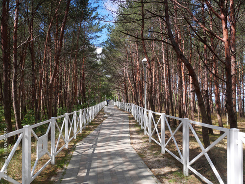 Wyspa Wolin - Międzywodzie - promenada