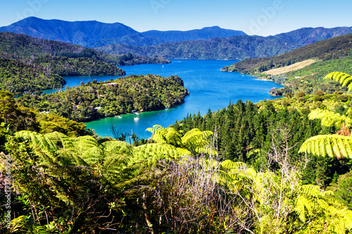 View of bays in Queen Charlotte Sound, Picton, Marlborough region, South Island, New Zealand