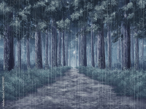森の一本道曇り