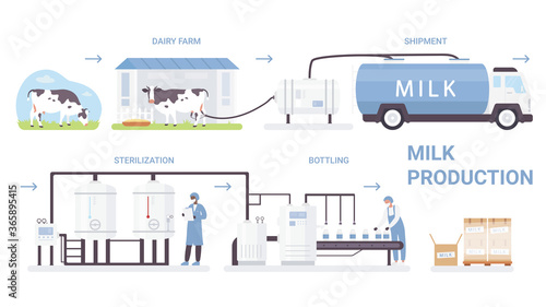 Milk bottle production process vector illustration. Cartoon flat infographic poster with processing line in automated dairy factory, making pasteurization and bottling milk product isolated on white