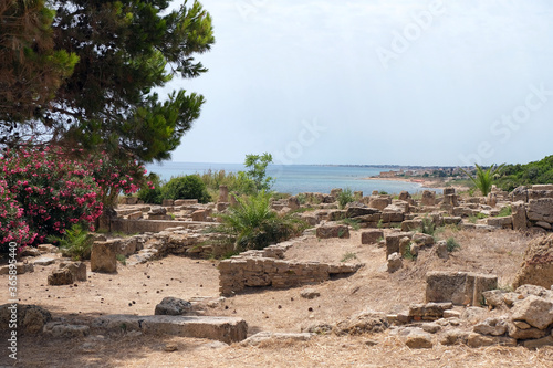 Selinunte Ruins