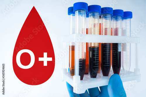 Blood type 0+. The logo of the first blood group. Rhesus factor is positive. Doctor holds test tubes with human blood. Plastic test tubes in a medic's hand. Lifeblood logo in the form of a drop