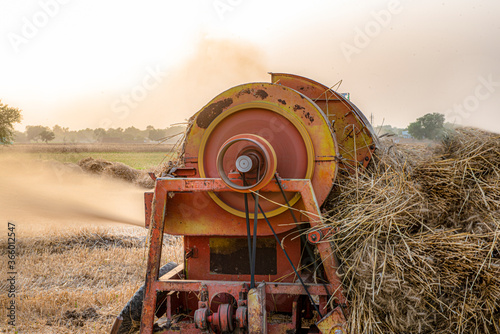 wheat harvest with thresher in rural Punjab , agricultural fields of crops of Pakistan 