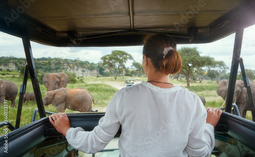 Woman tourist on safari in Africa, traveling by car with an open roof in Kenya and Tanzania, watching elephants in wild the savannah.